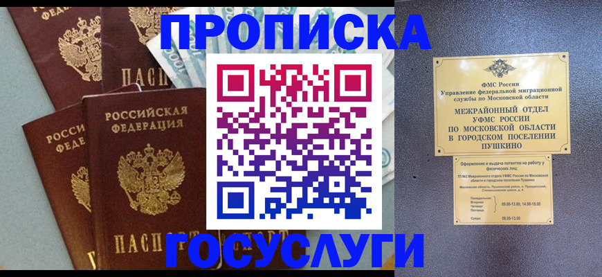 прописка гарантия в Зее